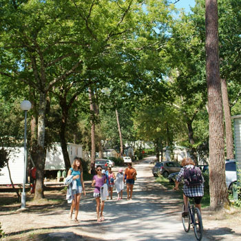 Allée