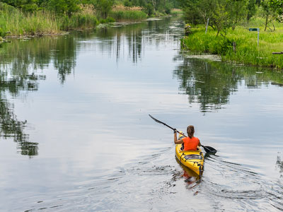 Kayak et Nature